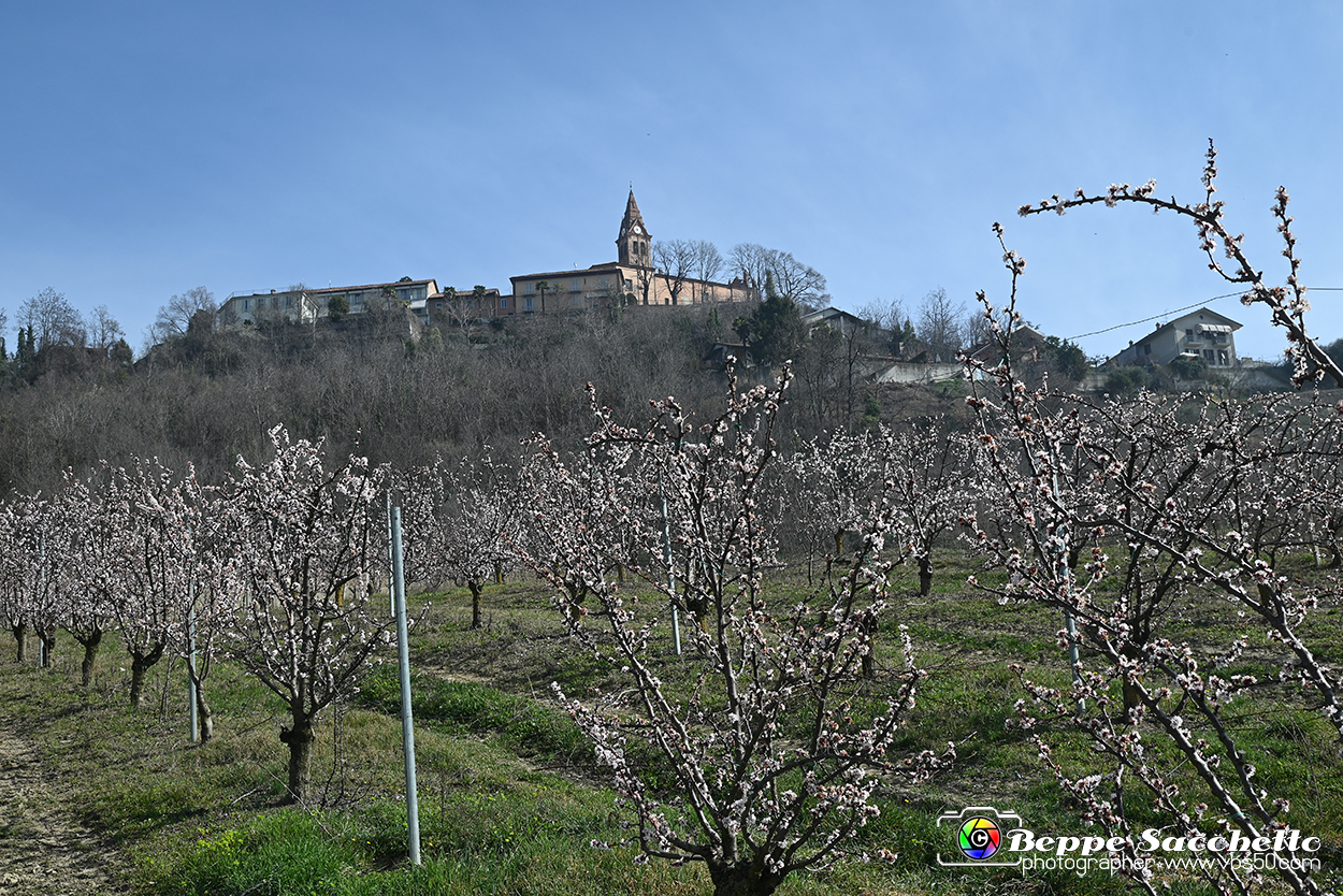 VBS_1628 - Magliano Alfieri.jpg